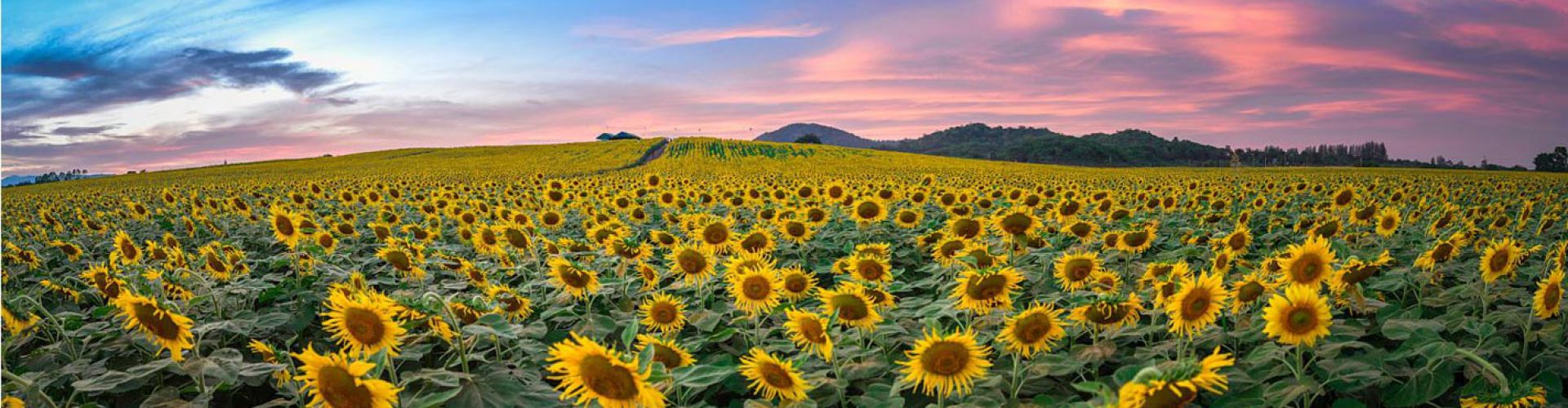 Destinations in Nghe An